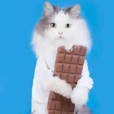 Chocolate Toxicity Calculator